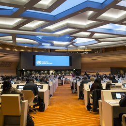 World Health Assembly approves Framework