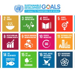 Framework on integrated people-centred health services supports the Sustainable Development Goals